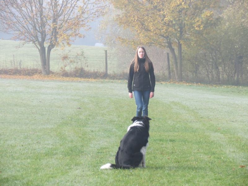 Begleithundeprüfung Herbst 2015