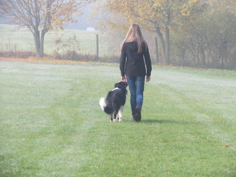Begleithundeprüfung Herbst 2015