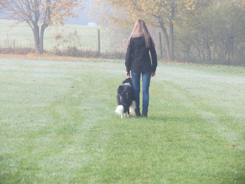Begleithundeprüfung Herbst 2015