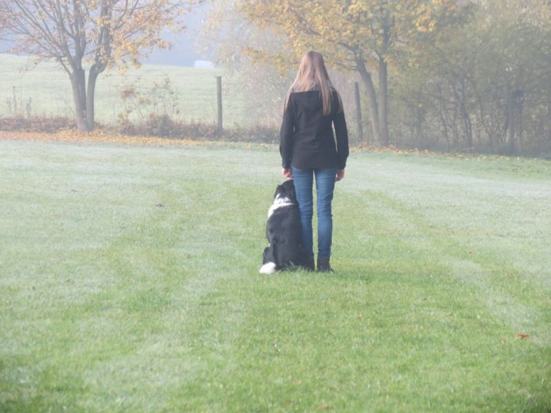 Begleithundeprüfung Herbst 2015