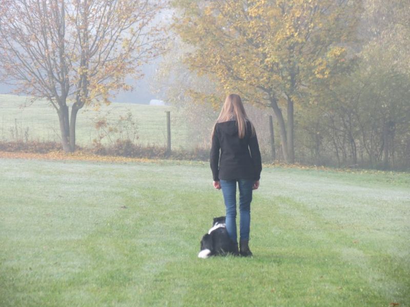 Begleithundeprüfung Herbst 2015