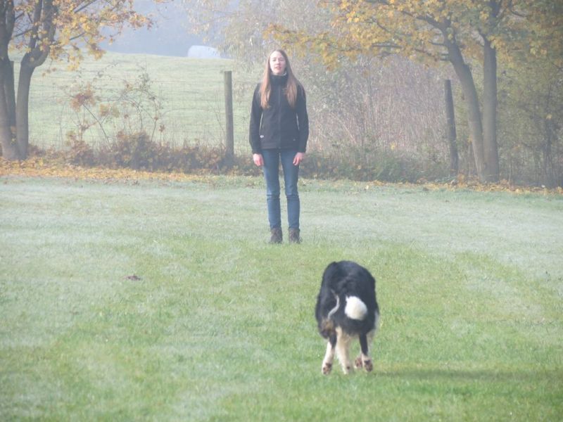 Begleithundeprüfung Herbst 2015