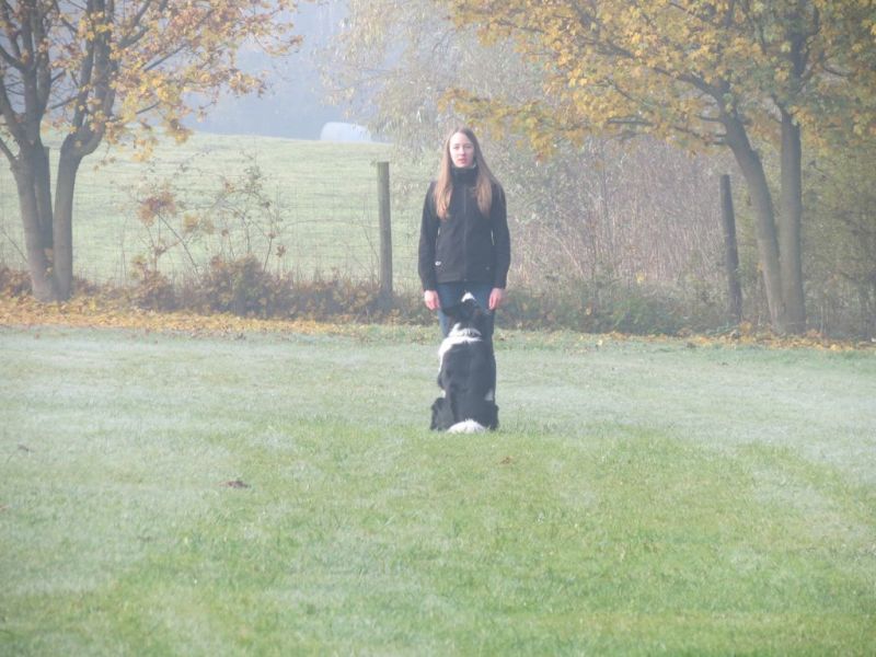 Begleithundeprüfung Herbst 2015