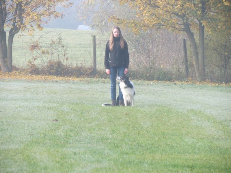 Begleithundeprüfung Herbst 2015