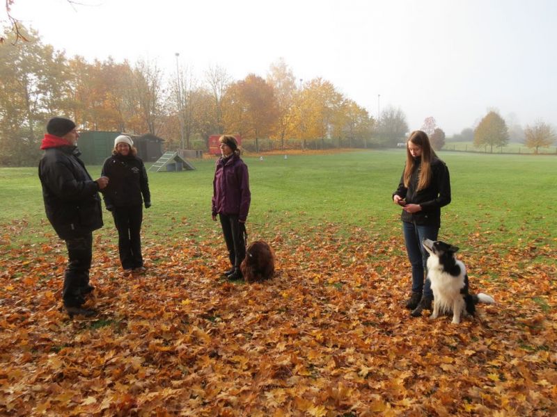 Begleithundeprüfung Herbst 2015