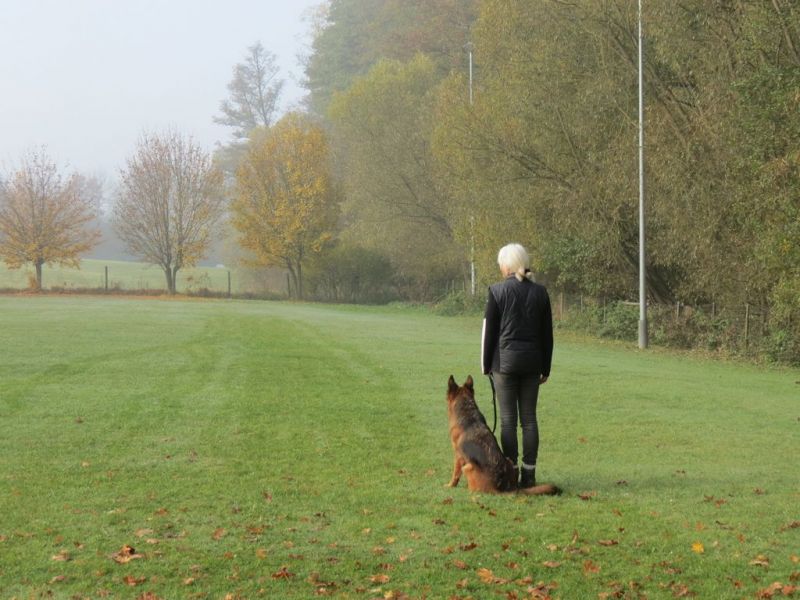 Begleithundeprüfung Herbst 2015
