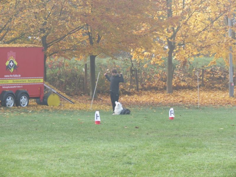 Begleithundeprüfung Herbst 2015