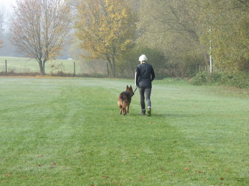 Begleithundeprüfung Herbst 2015