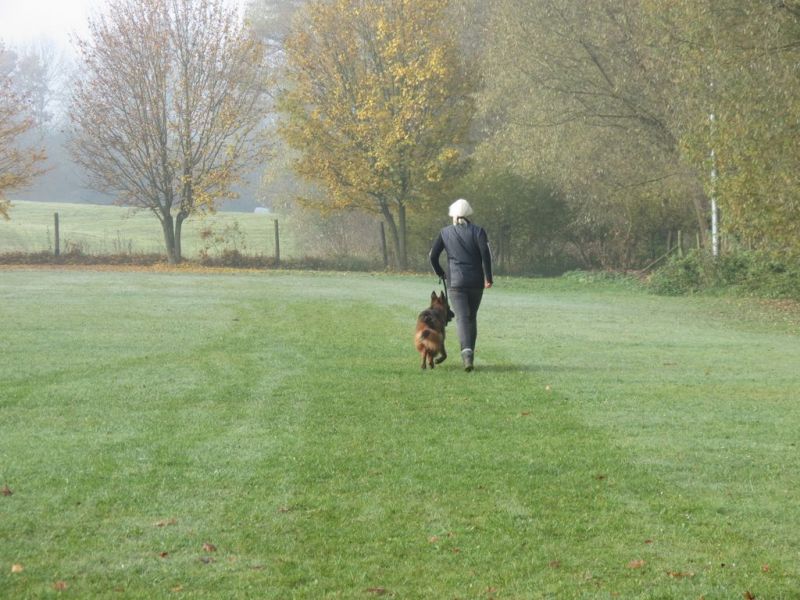 Begleithundeprüfung Herbst 2015