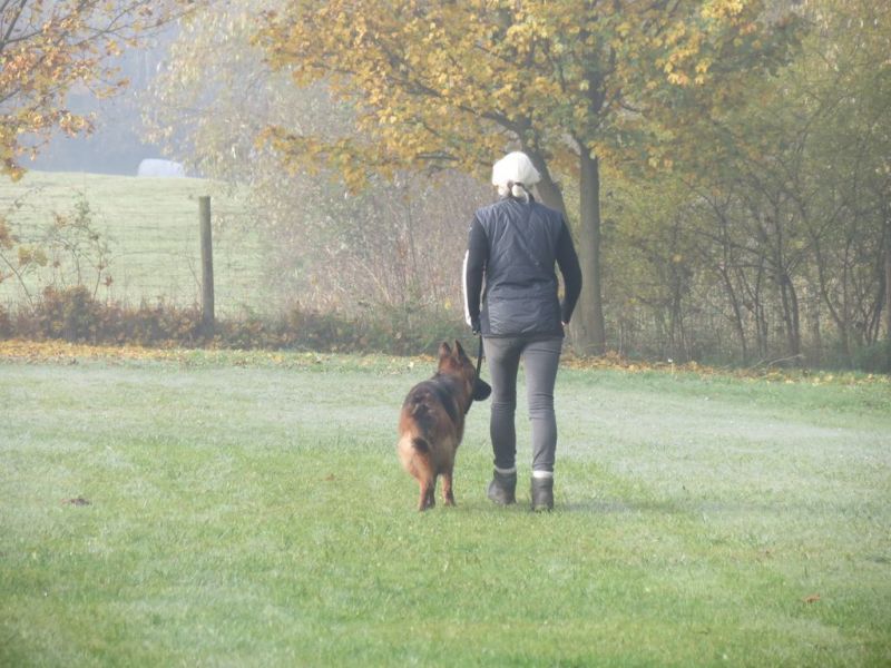 Begleithundeprüfung Herbst 2015