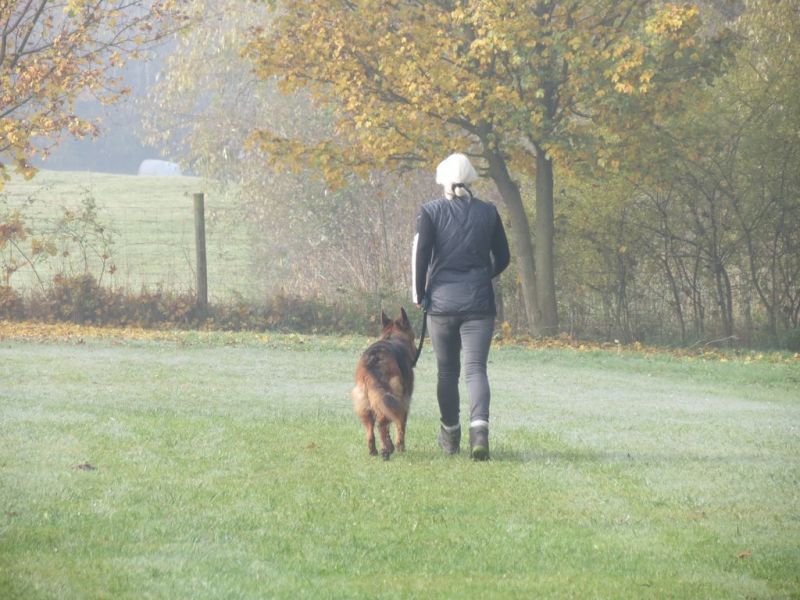 Begleithundeprüfung Herbst 2015