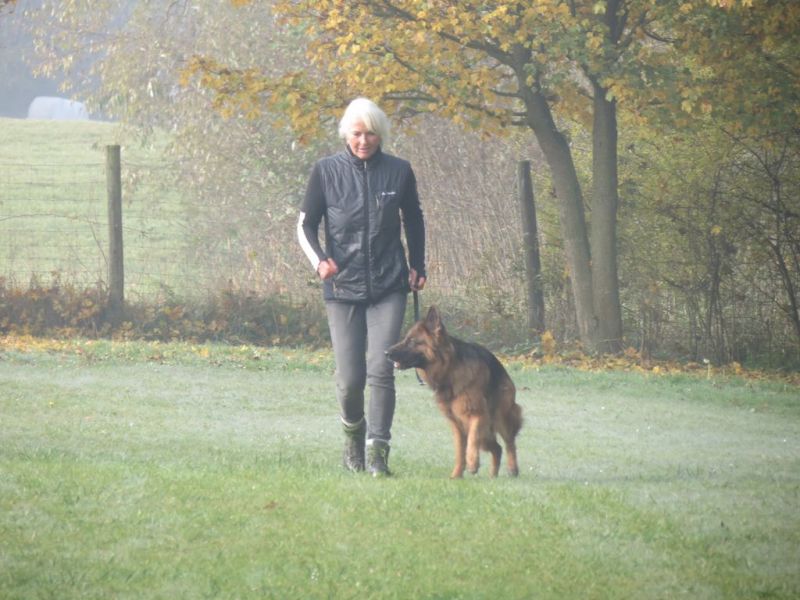 Begleithundeprüfung Herbst 2015