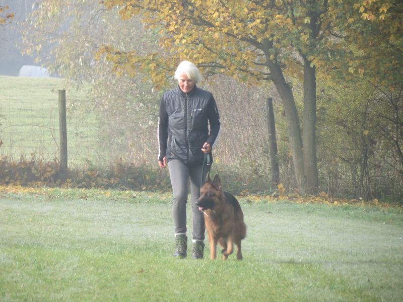 Begleithundeprüfung Herbst 2015