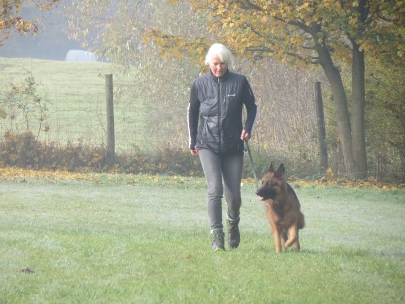 Begleithundeprüfung Herbst 2015