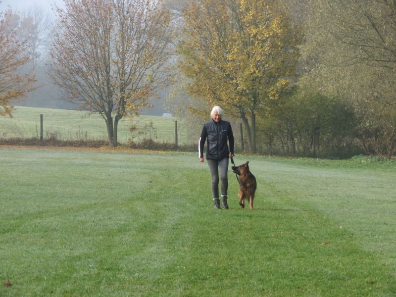 Begleithundeprüfung Herbst 2015