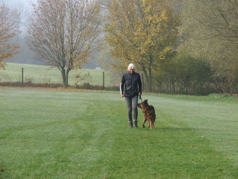Begleithundeprüfung Herbst 2015
