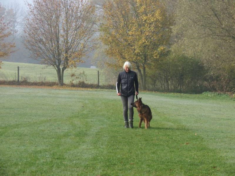 Begleithundeprüfung Herbst 2015