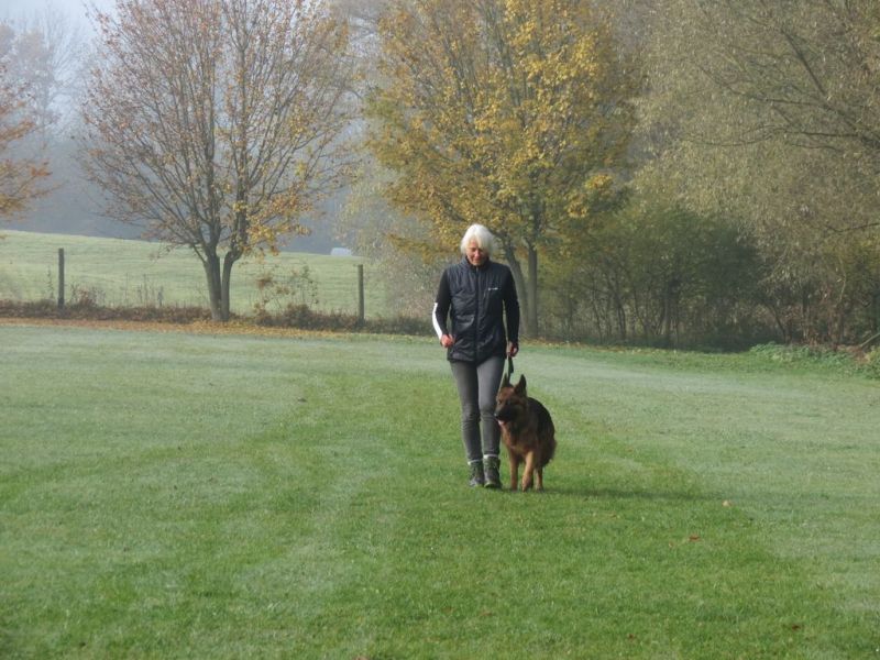 Begleithundeprüfung Herbst 2015