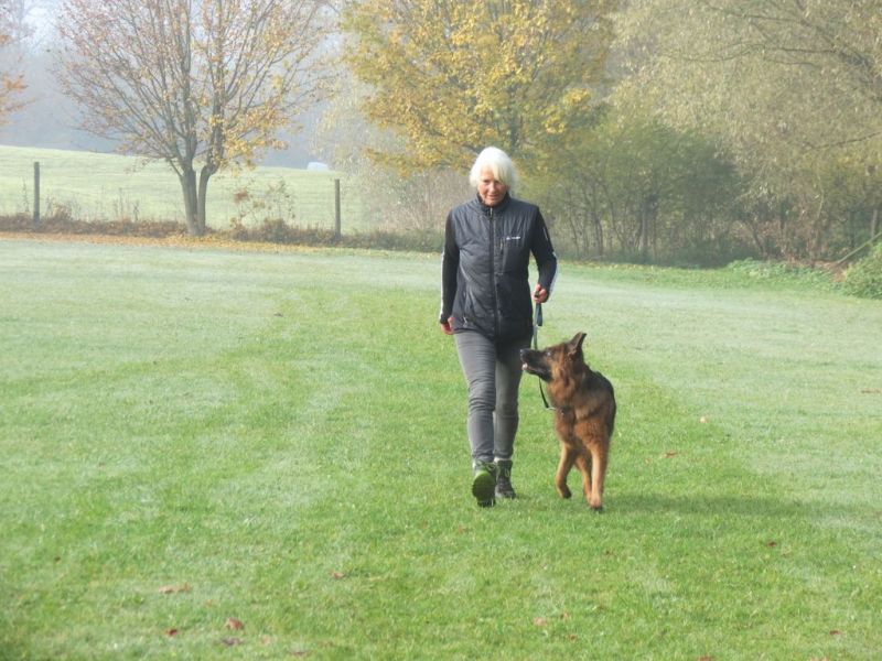 Begleithundeprüfung Herbst 2015