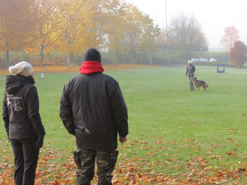 Begleithundeprüfung Herbst 2015