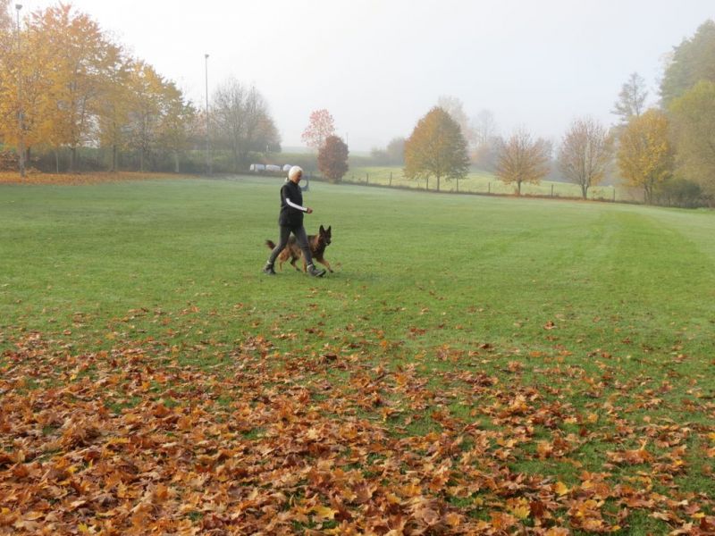 Begleithundeprüfung Herbst 2015