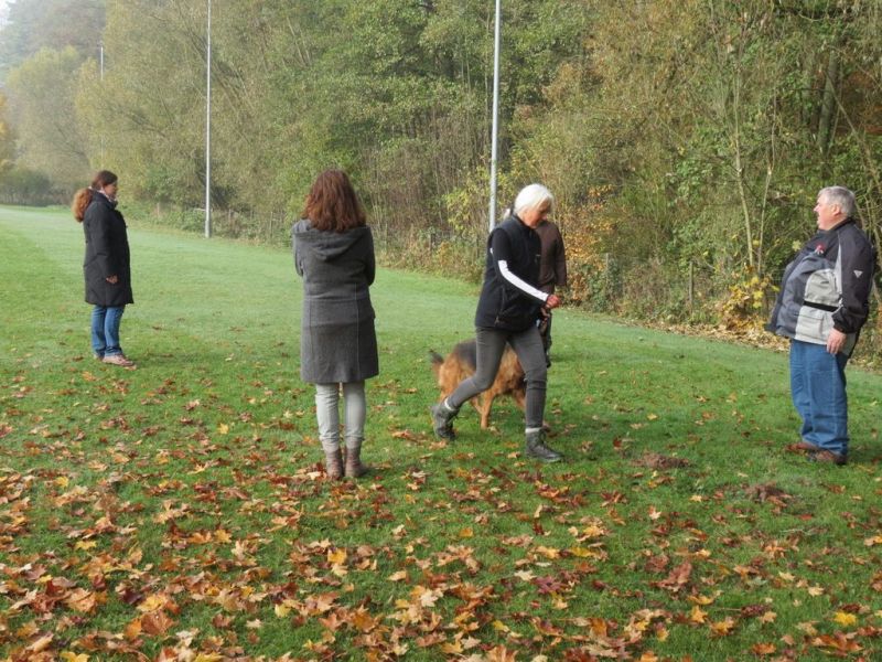 Begleithundeprüfung Herbst 2015