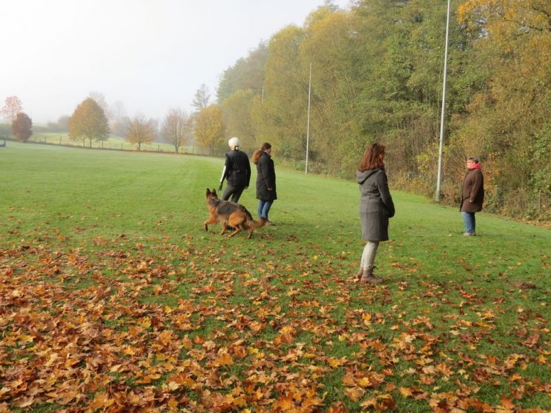 Begleithundeprüfung Herbst 2015