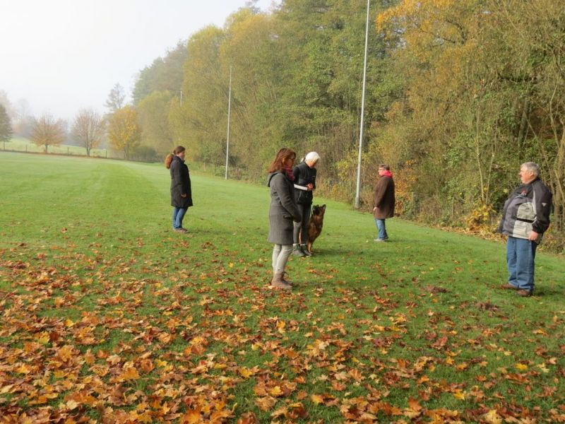 Begleithundeprüfung Herbst 2015