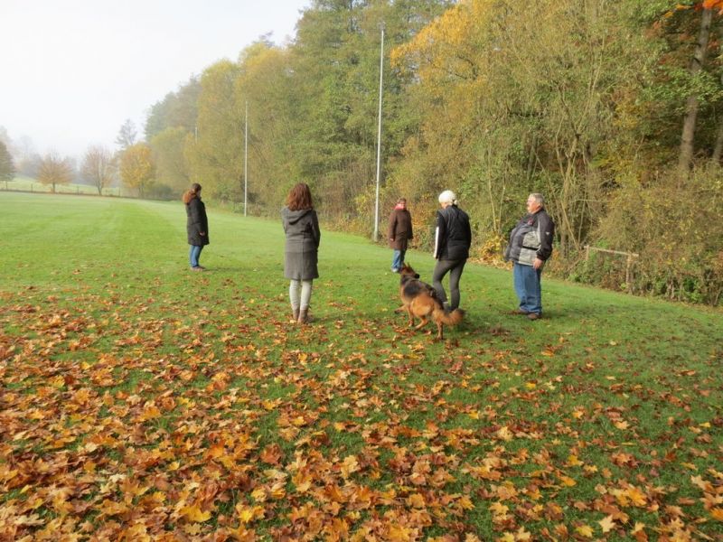 Begleithundeprüfung Herbst 2015
