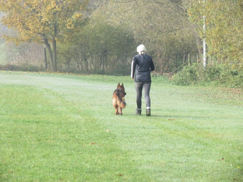 Begleithundeprüfung Herbst 2015