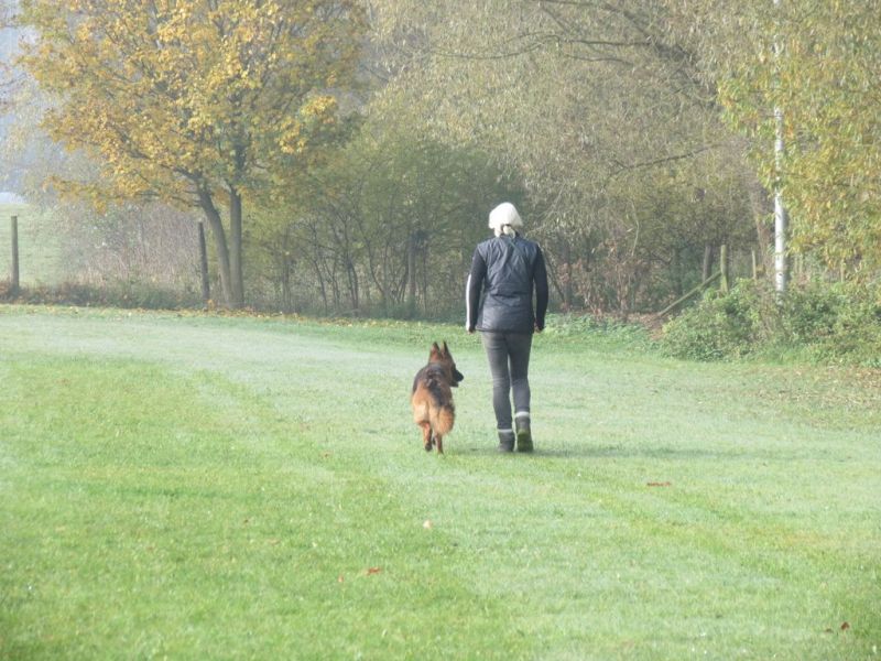 Begleithundeprüfung Herbst 2015