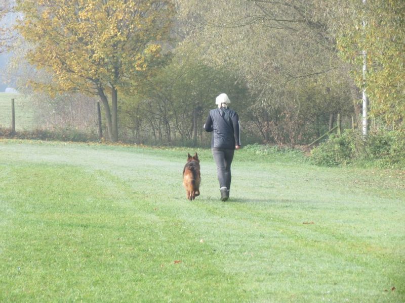 Begleithundeprüfung Herbst 2015