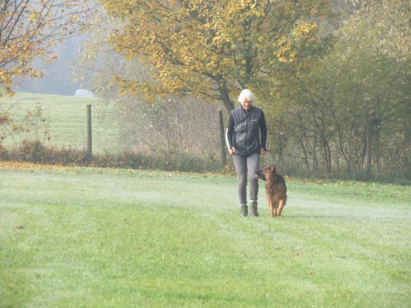 Begleithundeprüfung Herbst 2015