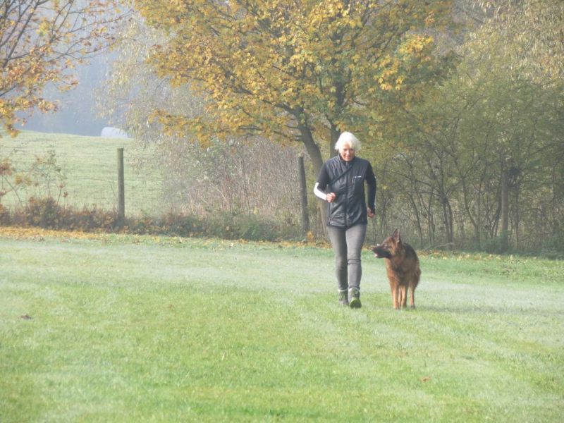 Begleithundeprüfung Herbst 2015