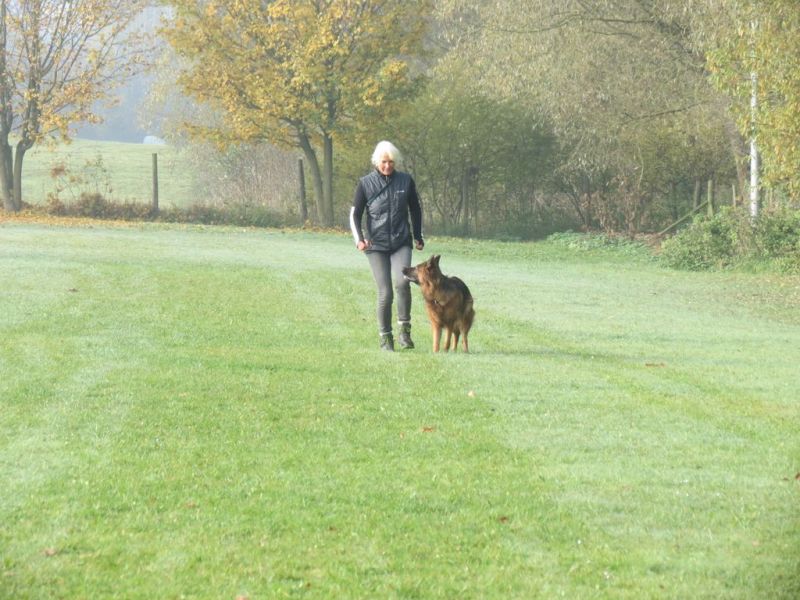 Begleithundeprüfung Herbst 2015