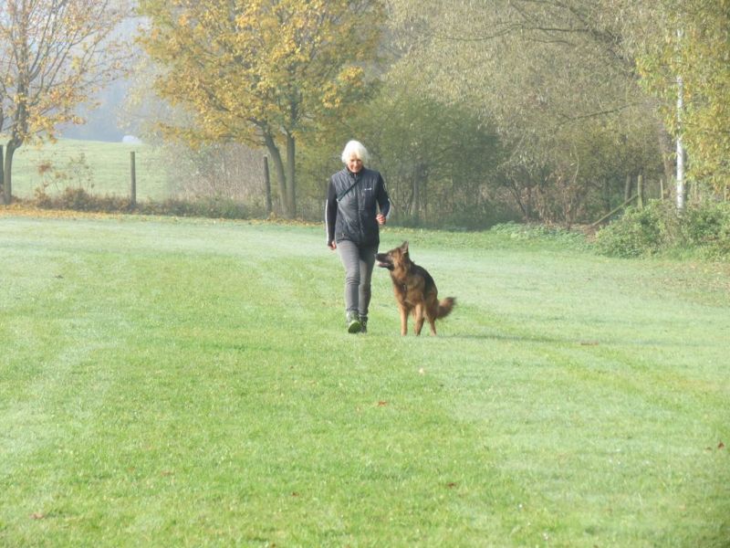 Begleithundeprüfung Herbst 2015