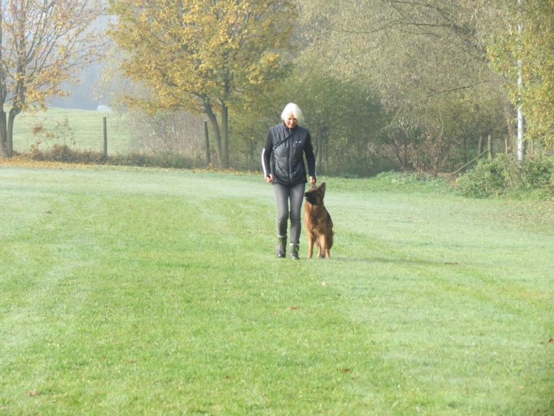 Begleithundeprüfung Herbst 2015