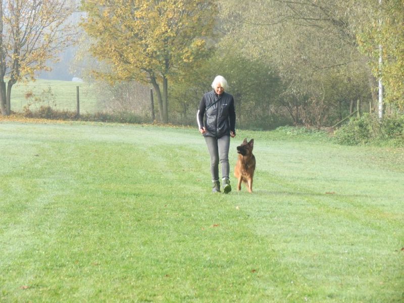 Begleithundeprüfung Herbst 2015