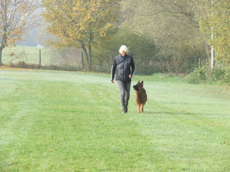 Begleithundeprüfung Herbst 2015