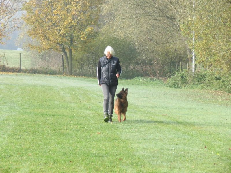 Begleithundeprüfung Herbst 2015