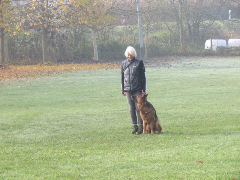 Begleithundeprüfung Herbst 2015