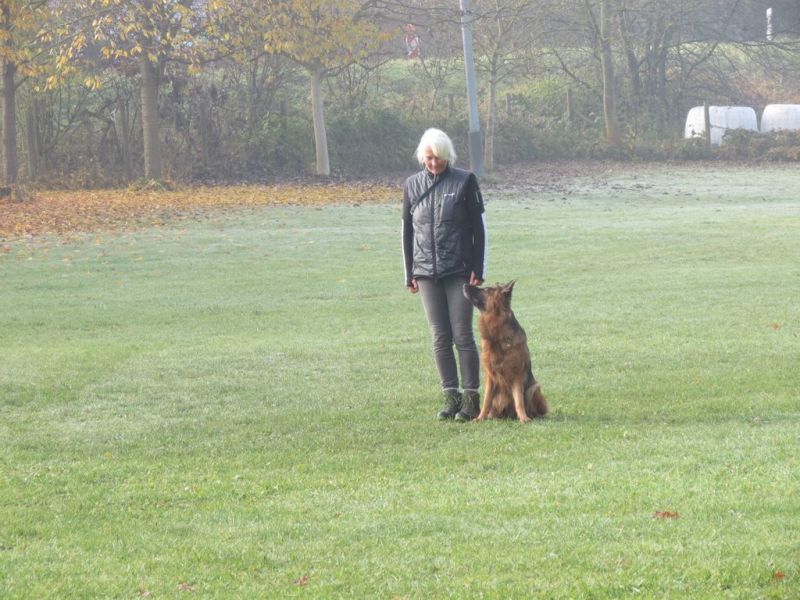 Begleithundeprüfung Herbst 2015