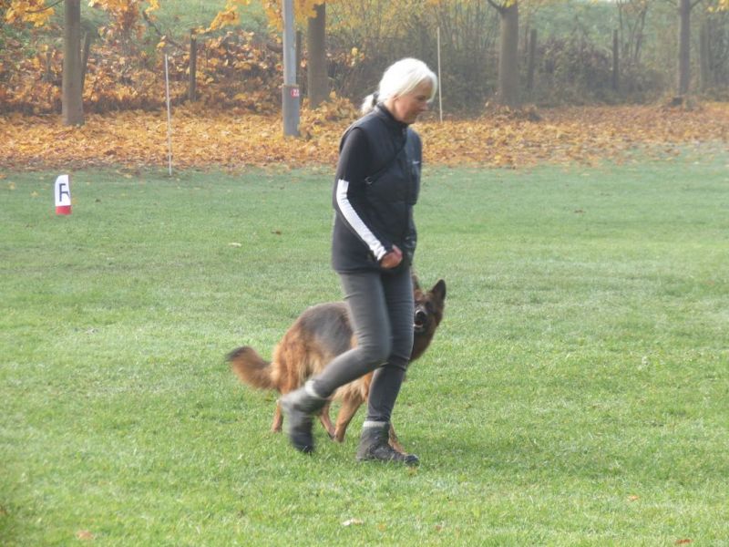 Begleithundeprüfung Herbst 2015