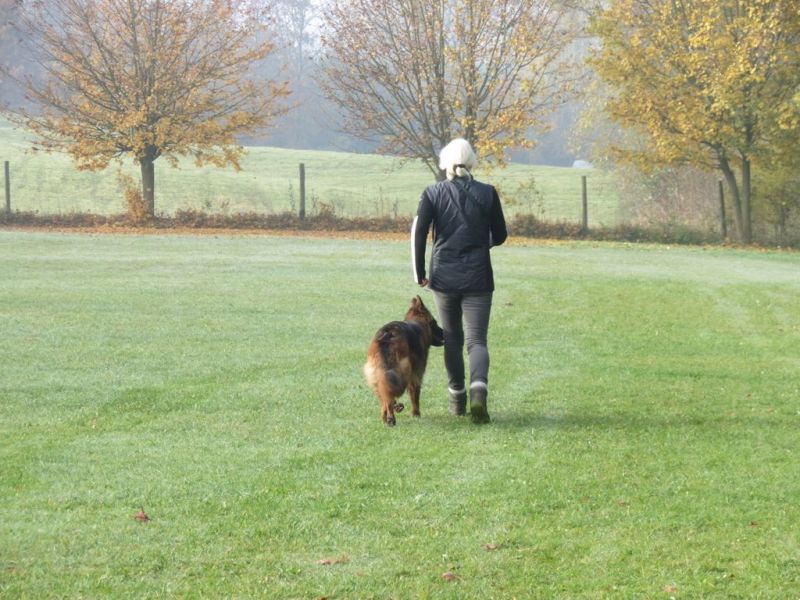 Begleithundeprüfung Herbst 2015