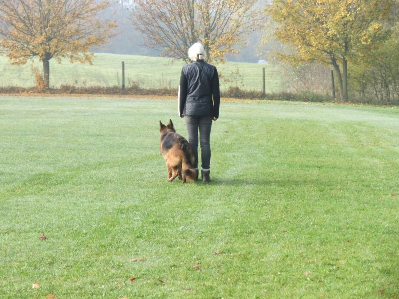 Begleithundeprüfung Herbst 2015