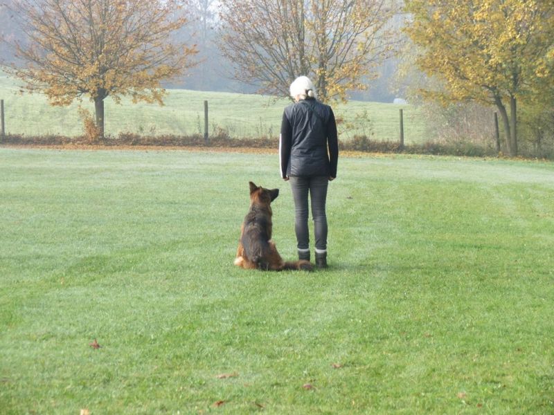 Begleithundeprüfung Herbst 2015