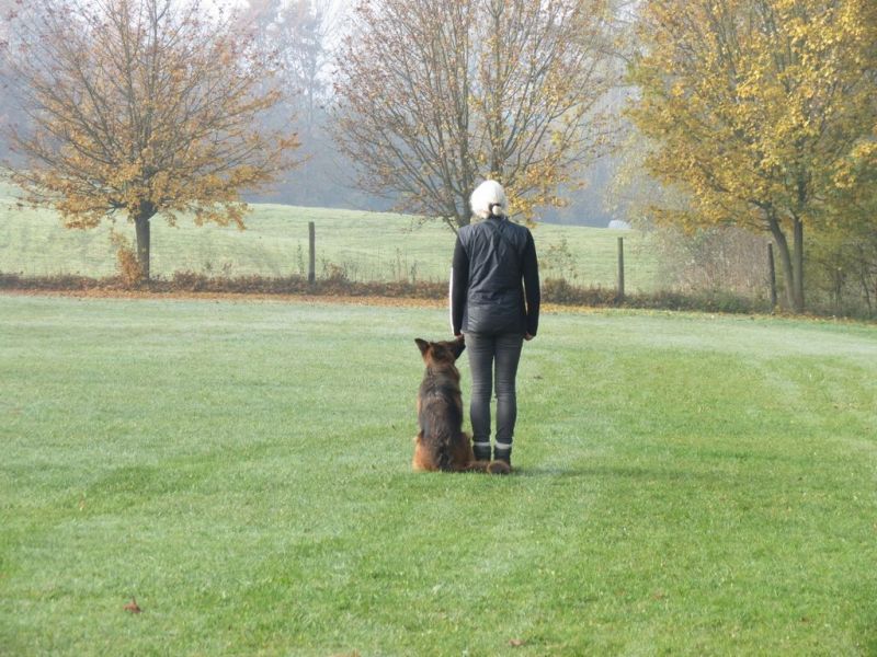 Begleithundeprüfung Herbst 2015