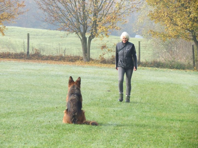 Begleithundeprüfung Herbst 2015