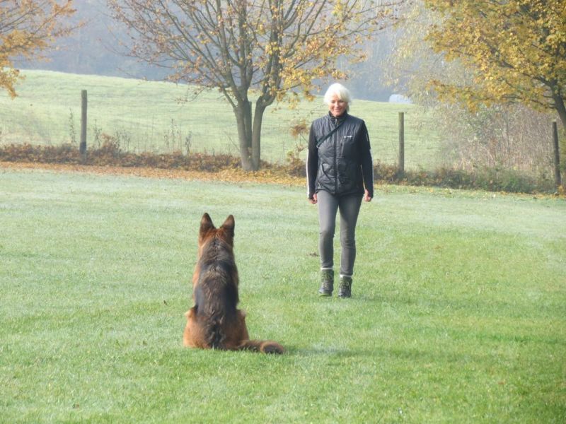 Begleithundeprüfung Herbst 2015