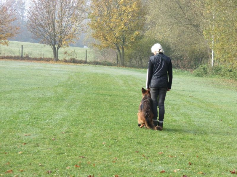 Begleithundeprüfung Herbst 2015
